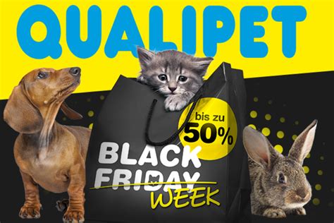 Qualipet Black Friday 2024 